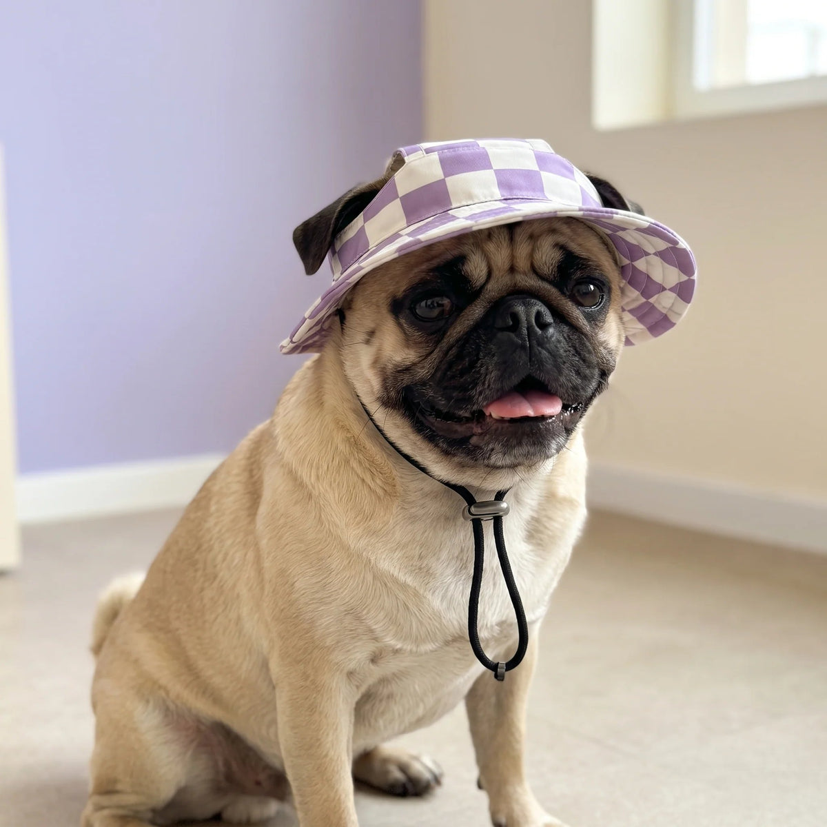 Pet Bucket Hat