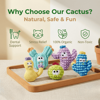 🎁Last Day Promotion 49% OFF🔥5pcHandmade Soft Cactus Kitten Chew Toys with Natural Catnip