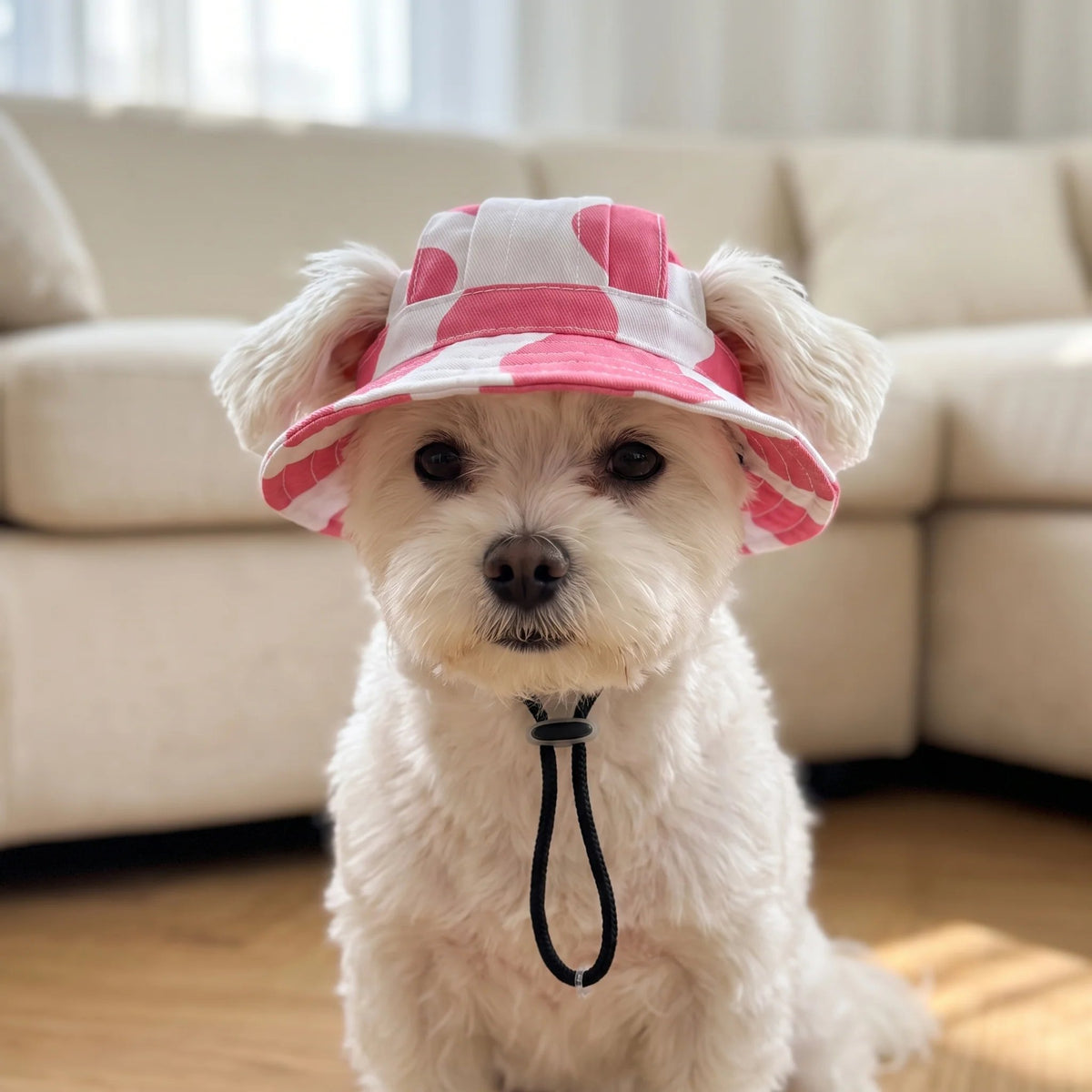 Pet Bucket Hat