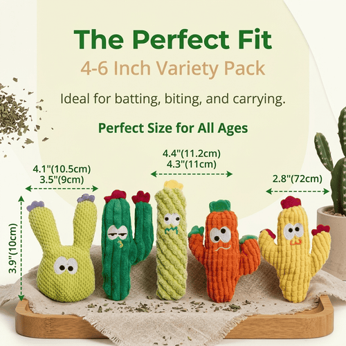 🎁Last Day Promotion 49% OFF🔥5pcHandmade Soft Cactus Kitten Chew Toys with Natural Catnip