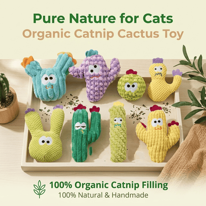 🎁Last Day Promotion 49% OFF🔥5pcHandmade Soft Cactus Kitten Chew Toys with Natural Catnip