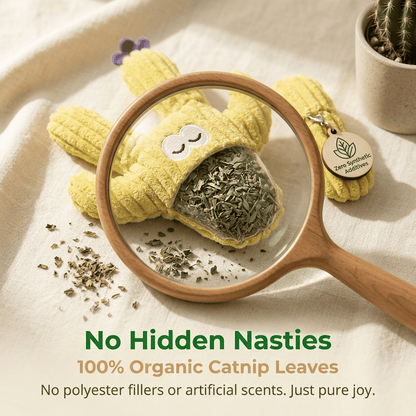 🎁Last Day Promotion 49% OFF🔥5pcHandmade Soft Cactus Kitten Chew Toys with Natural Catnip